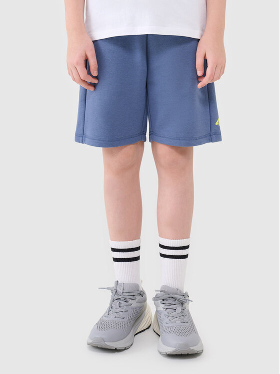 4F 4F Szorty sportowe BASIC+ Niebieski Regular Fit