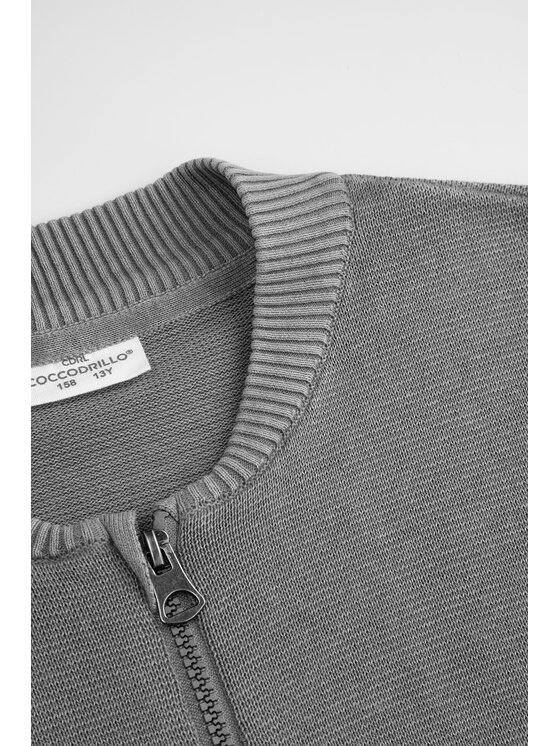 Coccodrillo Coccodrillo Svetr WC6172201CSB-019 Šedá Regular Fit