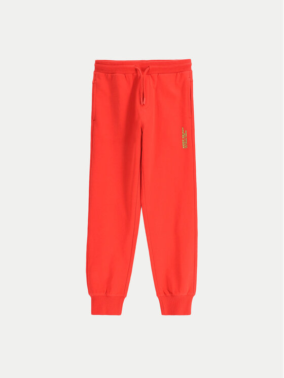 Coccodrillo Coccodrillo Спортивні штани WC5120101VBA Червоний Regular Fit