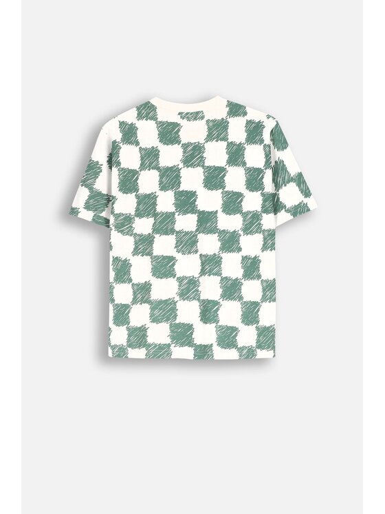 Coccodrillo Coccodrillo T-Shirt ZC4143202ABJ-022 Kolorowy Regular Fit