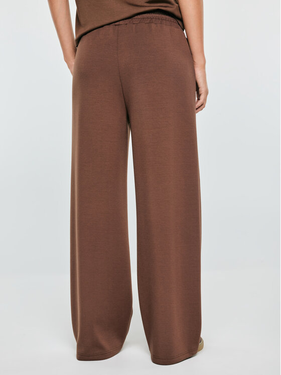 BIG STAR BIG STAR Spodnie dresowe LUNARASAP Brązowy Basic Fit