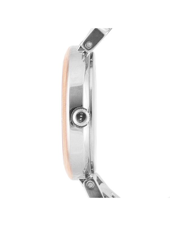 DKNY DKNY Hodinky Ellington NY2593 Strieborná