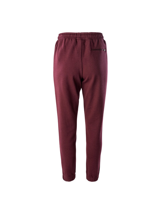 IQ IQ Spodnie outdoor Sorinnis Fioletowy Fitted Fit