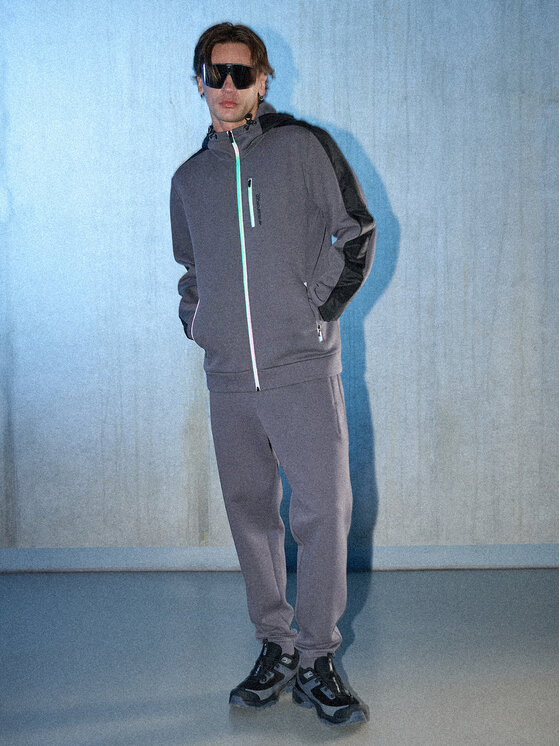 4F 4F Spodnie dresowe IN MOTION Szary Regular Fit