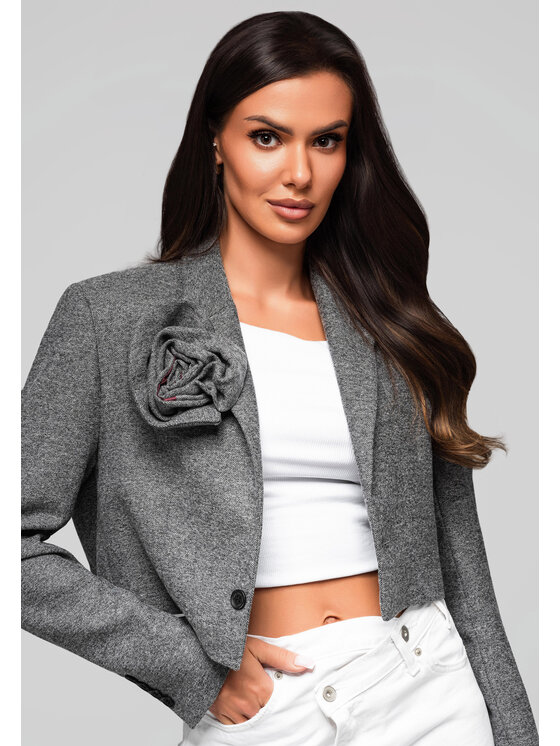 Ombre Ombre Marynarka LW-BLZB-0100 Szary Regular Fit