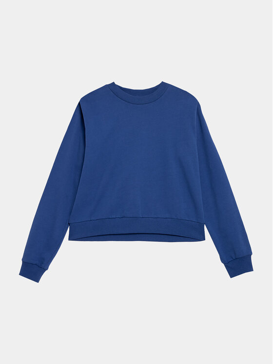 Outhorn Outhorn Mikina OTHAW23TSWSF668 Modrá Regular Fit
