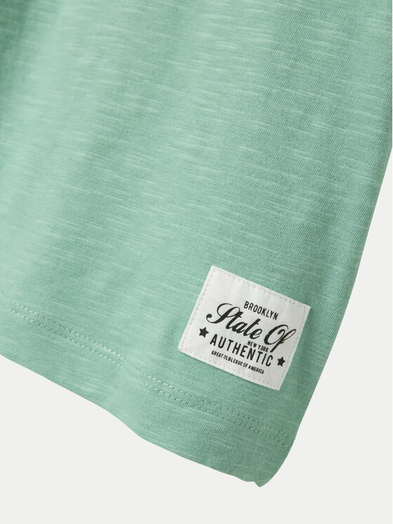 NAME IT NAME IT T-Shirt Vincent 13201047 Grün Regular Fit