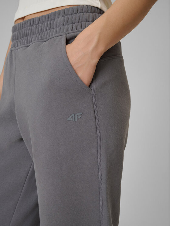 4F 4F Spodnie dresowe BASIC+ Szary Regular Fit