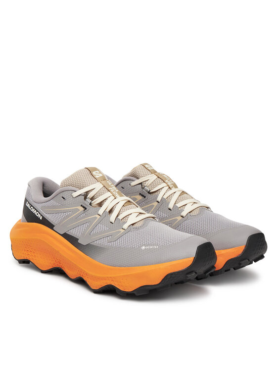 Salomon Salomon Tenisice za trčanje Ultra Flow 2 Gore-Tex L47884200 Siva
