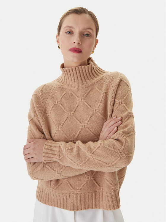 Elisabetta Franchi Elisabetta Franchi Maglione MK-55T-57E2 Marrone Regular Fit