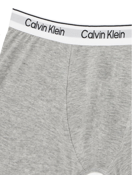 Calvin Klein Underwear Calvin Klein Underwear Set bokserica﻿ B70B700506 Siva