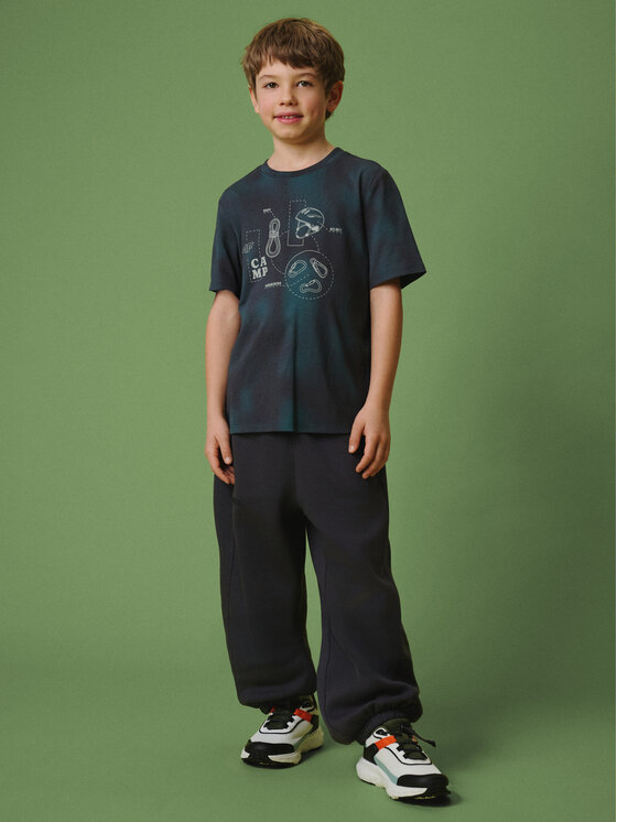 4F 4F T-Shirt ENJOY THE OUTDOORS Kolorowy Regular Fit