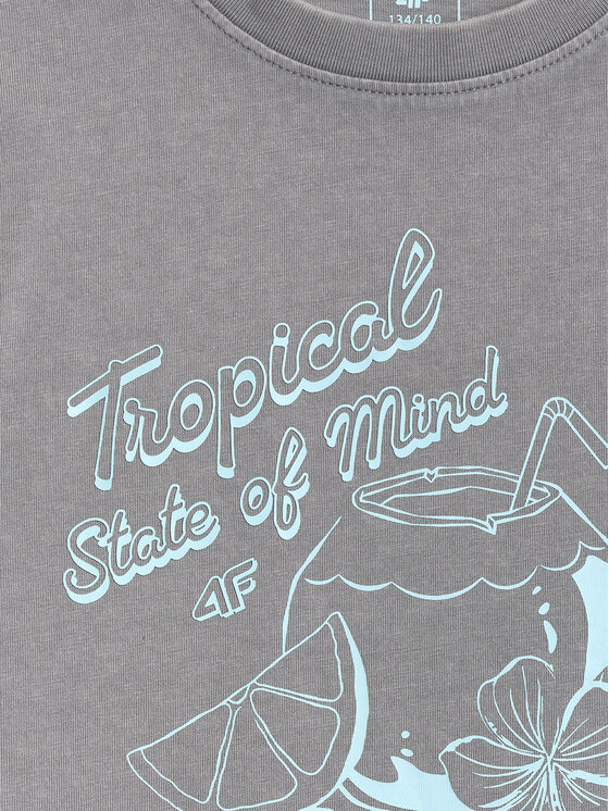4F 4F T-Shirt SUMMER SPLASH Szary Loose Fit