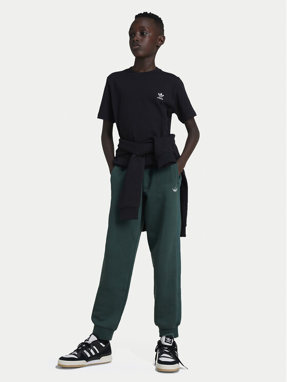 adidas adidas T-Shirt IW3495 Czarny Regular Fit