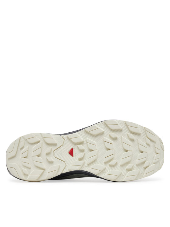 Salomon Salomon Turistiniai batai Elixir Activ Gore-Tex L47757800 Pilka