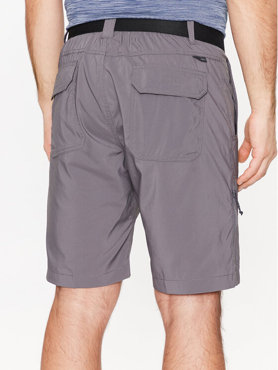 Columbia Columbia Szorty sportowe Silver Ridge™ 2030753 Szary Regular Fit
