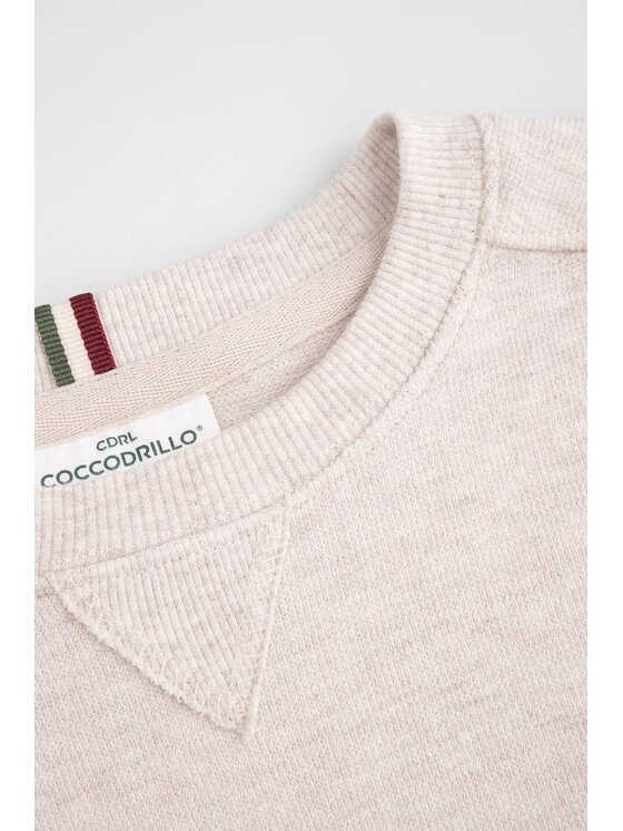 Coccodrillo Coccodrillo Bluza WC6132102FBJ-003 Écru Regular Fit