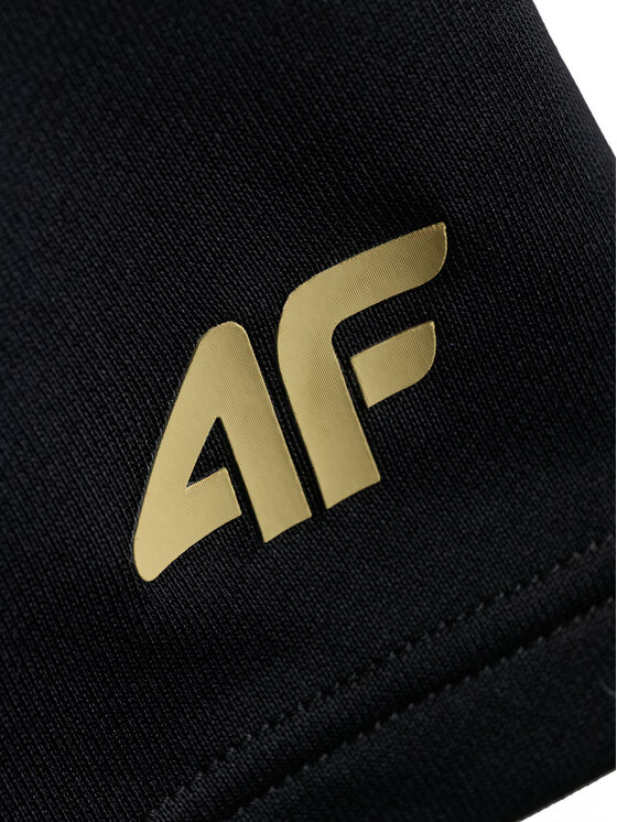 4F 4F Szorty sportowe GOLDEN WARRIOR Czarny Regular Fit