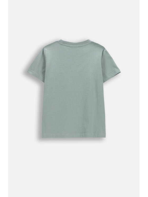 Coccodrillo Coccodrillo T-Shirt WC6143203NBK-011 Zielony Regular Fit