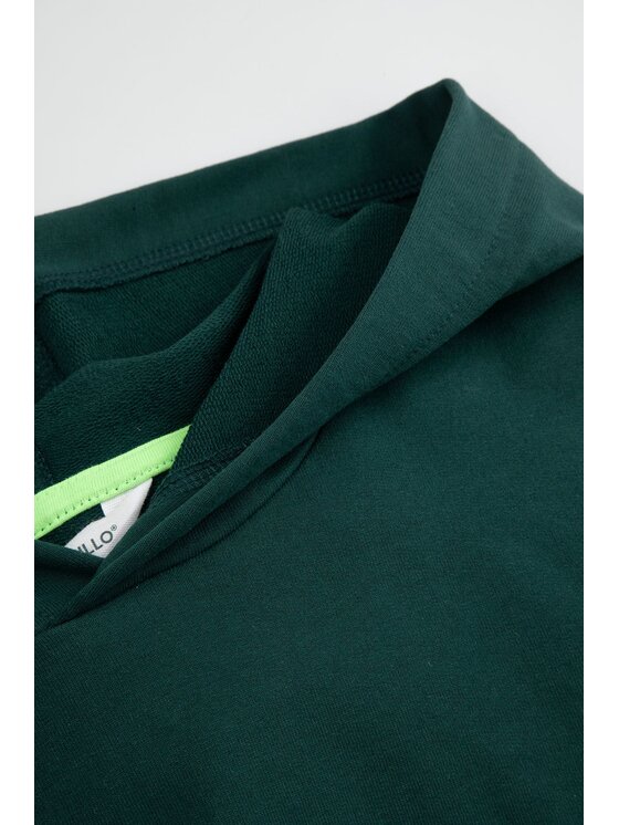 Coccodrillo Coccodrillo Mikina WC6132301VBA-011 Zelená Regular Fit