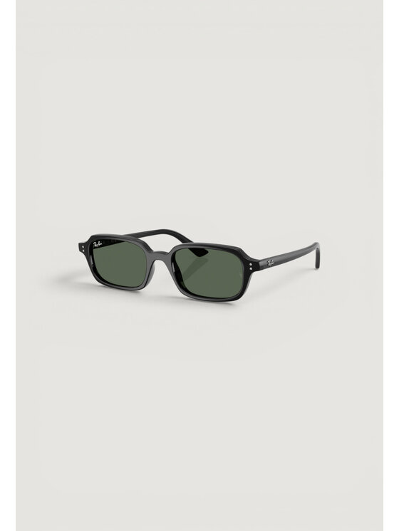 Ray-Ban Ray-Ban Γυαλιά ηλίου 0RB4455 667771 Μαύρο
