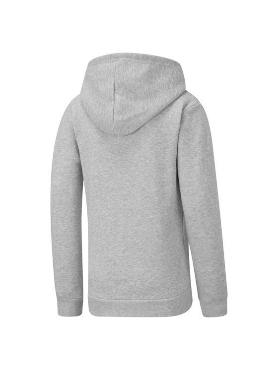 Puma Puma Bluza 847587 Szary Regular Fit