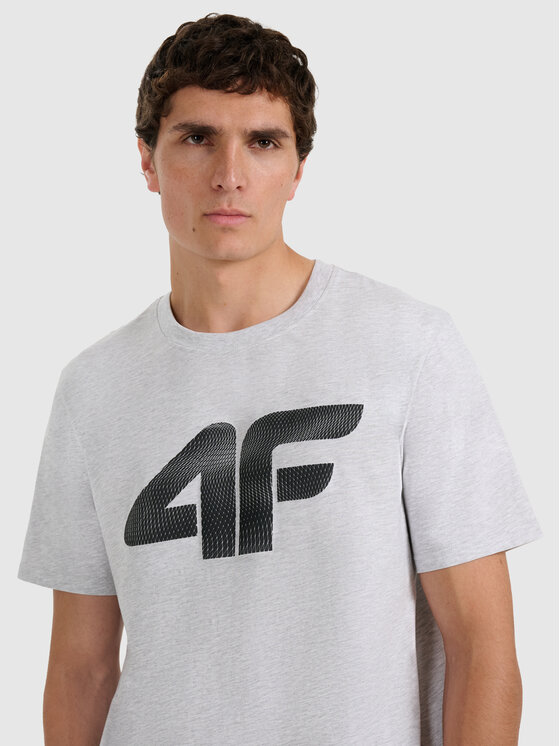 4F 4F T-Shirt NOS Szary jasny Regular Fit