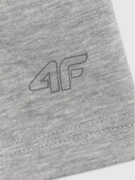 4F 4F Szorty sportowe BASIC+ Szary Regular Fit
