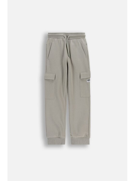 Coccodrillo Coccodrillo Spodnie dresowe WC6120102RBJ-019 Szary Regular Fit