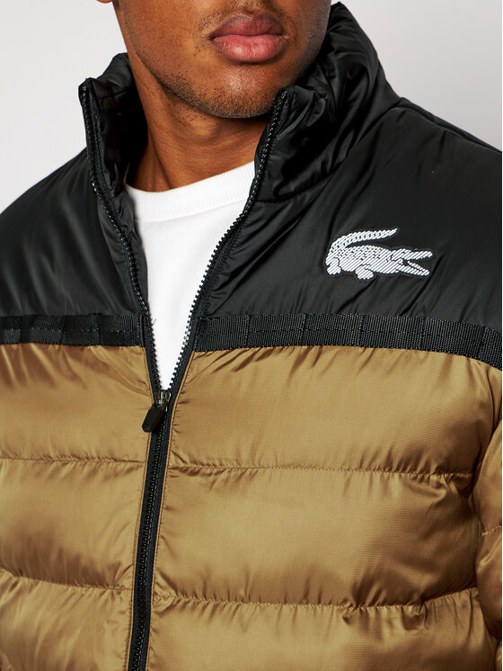 Lacoste Giubbotto piumino BH1549 Marrone Regular Fit Modivo