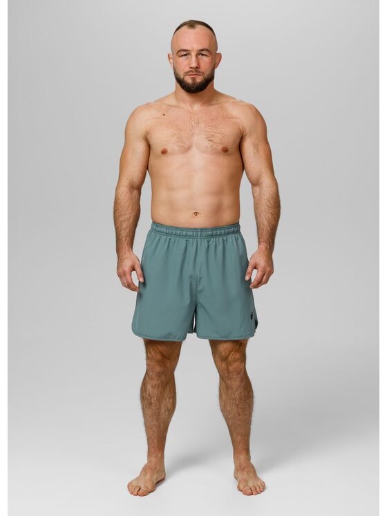 PITBULL PITBULL Szorty sportowe Performance Pro plus Small Logo II Zielony Regular Fit