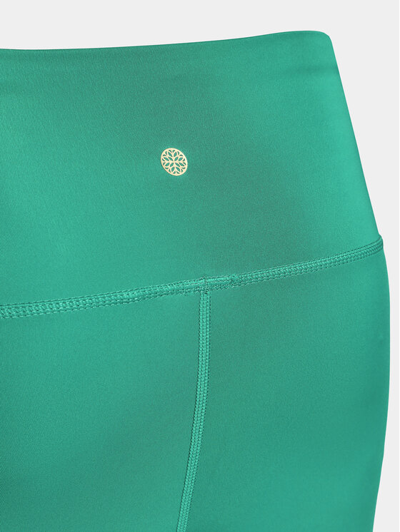 Athlecia Athlecia Легінси Franz W Tights EA181388 Зелений Regular Fit