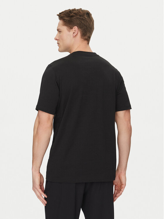 adidas adidas Tričko Terrex Graphic IZ0468 Čierna Regular Fit