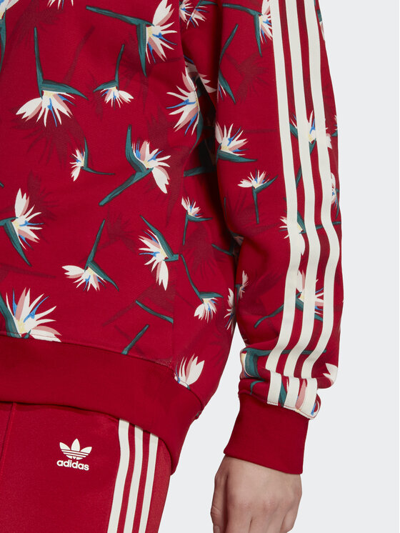 adidas Sweatshirt THEBE MAGUGU HK5213 Rot Relaxed Fit | Modivo.de