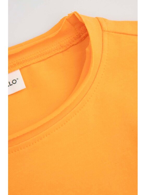 Coccodrillo Coccodrillo T-Shirt WC5143204MGK-006 Pomarańczowy Regular Fit