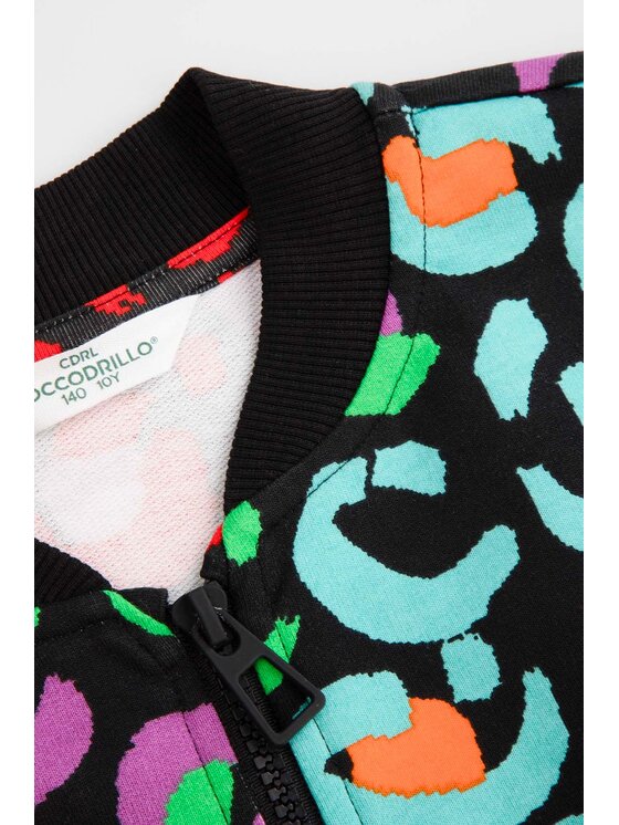 Coccodrillo Coccodrillo Mikina WC5132201MGJ-022 Farebná Regular Fit