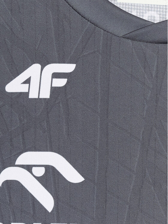 4F 4F Koszulka techniczna TEAMWEAR Kolorowy Regular Fit