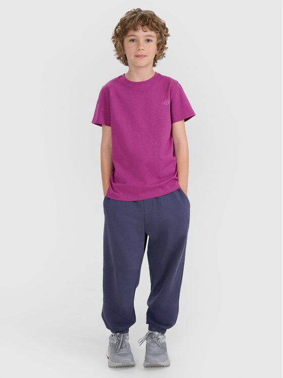 4F 4F T-shirt 4FJRAW25TTSHU3157-92S Multicolore Regular Fit