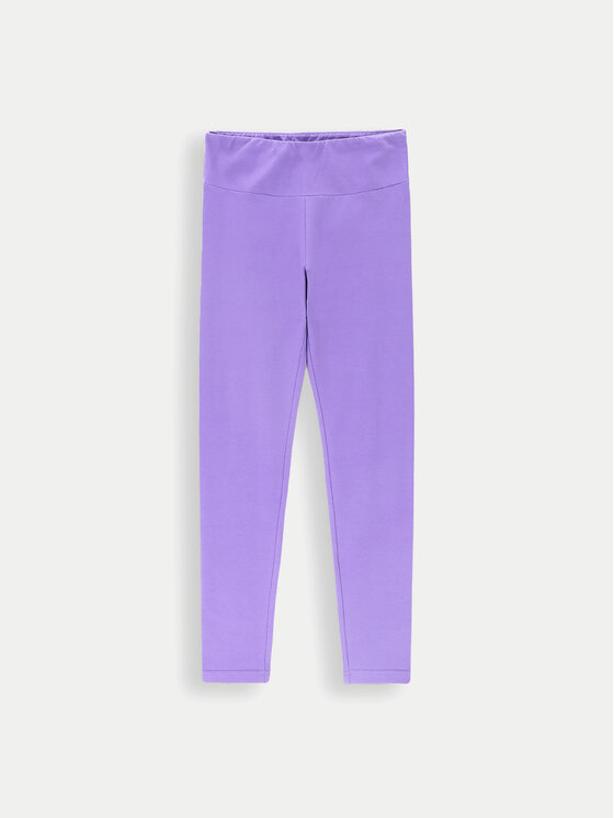 Coccodrillo Coccodrillo Leggings ZC4122108VGA Ljubičasta Slim Fit
