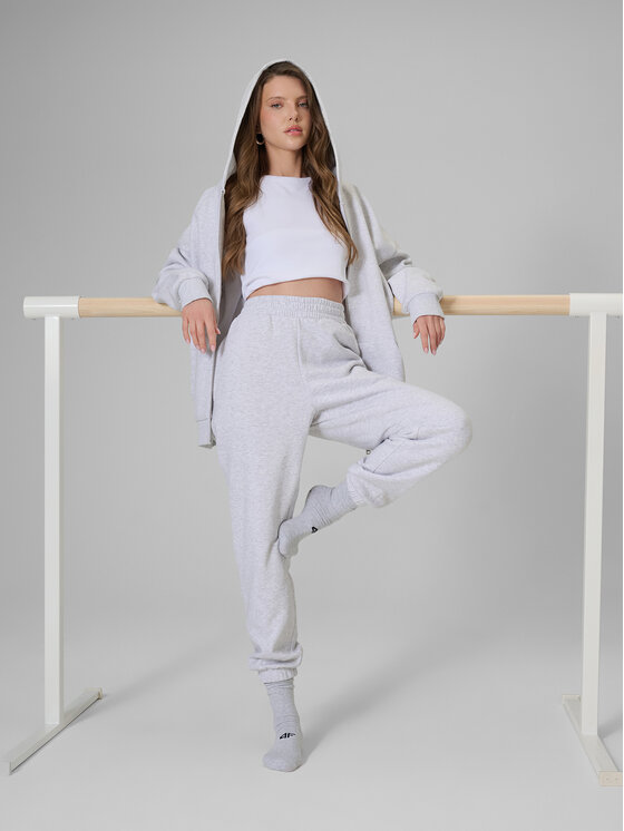 4F 4F Spodnie dresowe BASIC+ Szary jasny Regular Fit