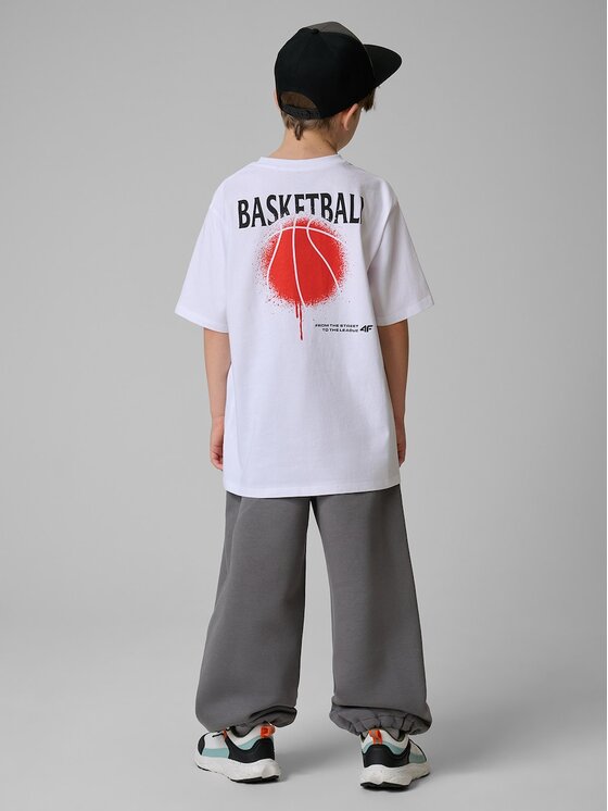 4F 4F Spodnie dresowe STREET SPORT Szary
