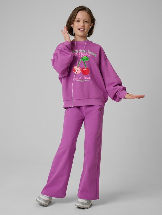 4F 4F Pantaloni da tuta 4FJRSS26TTROF1918-51S Viola Regular Fit
