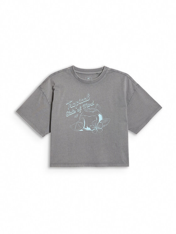 4F 4F T-Shirt SUMMER SPLASH Szary Loose Fit