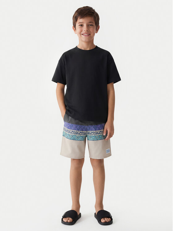 Quiksilver Quiksilver Плувни шорти Everyday Panel 17 EQBBS03724 Цветен Regular Fit