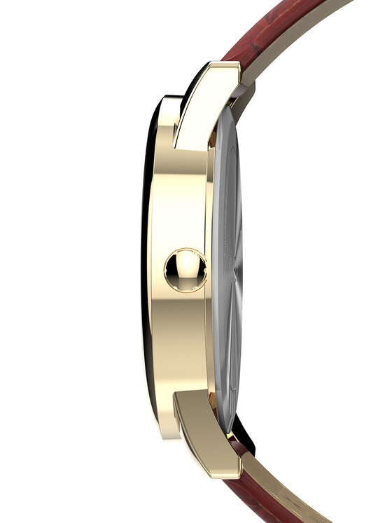 Timex Timex Sat Easy Reader TW2W95500 Zlatna