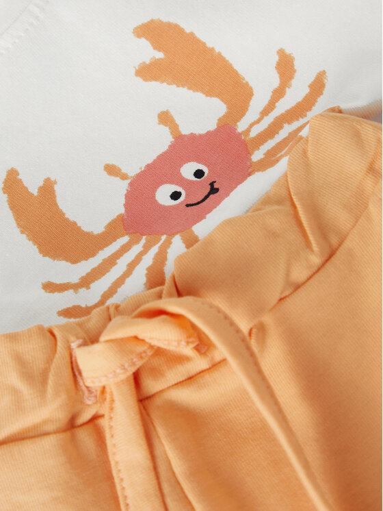 NAME IT NAME IT Σετ t-shirt και αθλητικό σορτς 13204117 Έγχρωμο Regular Fit