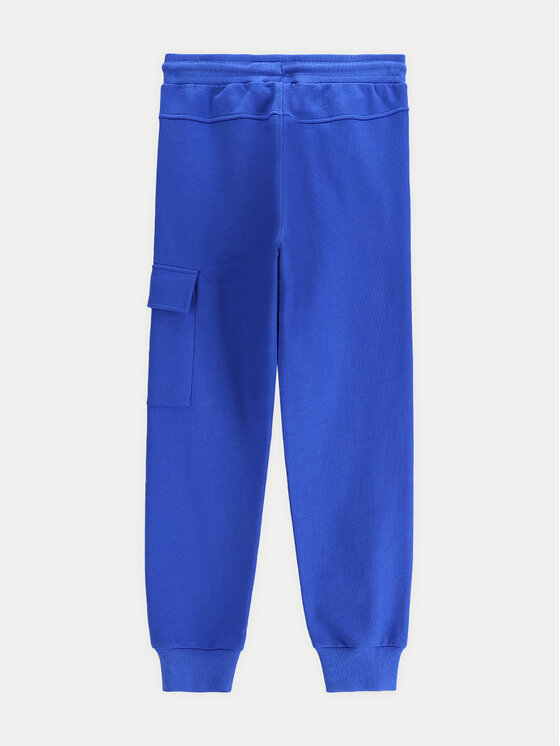 Coccodrillo Coccodrillo Pantaloni trening WC5120102VBA Albastru Regular Fit