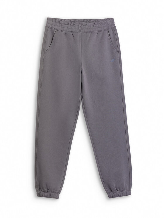 4F 4F Spodnie dresowe BASIC+ Szary Regular Fit