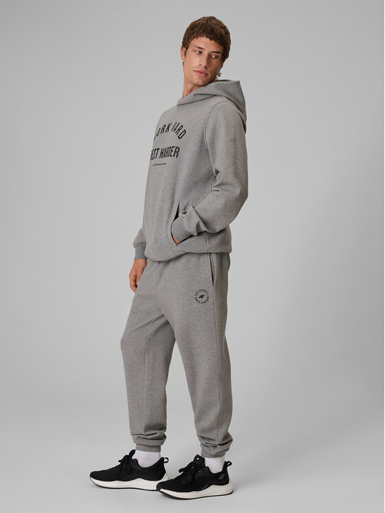 4F 4F Spodnie dresowe CITY FORM Szary Regular Fit