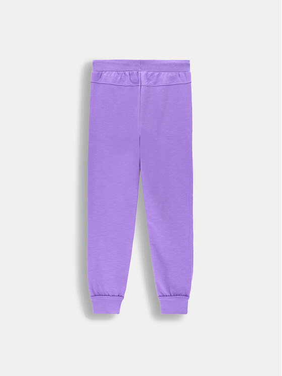 Coccodrillo Coccodrillo Jogginghose ZC4120101VGA Violett Regular Fit